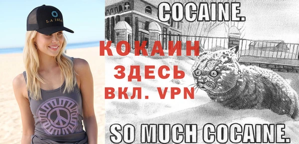 твердый Балахна