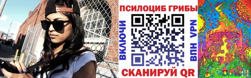 Псилоцибиновые грибы прущие грибы  Зубцов 